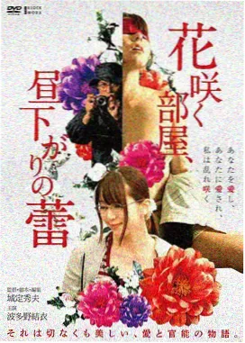奇书网官网作品《雾港来信》封面